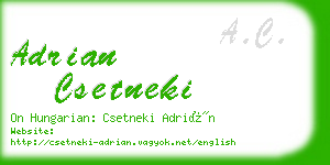 adrian csetneki business card